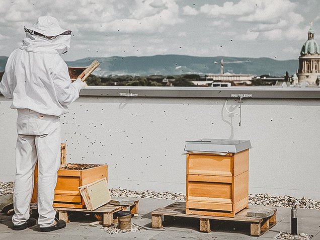 Bienenhäuser Schutzanzug